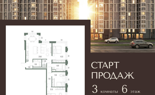 Районы СПб на карте: границы и список районов