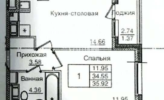 Районы СПб на карте: границы и список районов