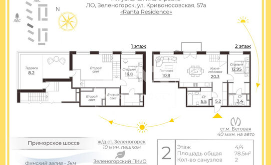 Районы СПб на карте: границы и список районов