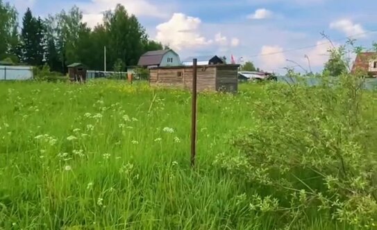 В Госдуме заверили, что не будут автоматически изымать неухоженные участки