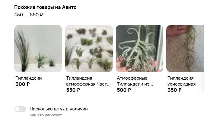 Как подать объявление на Авито — пошаговая инструкция для бизнеса