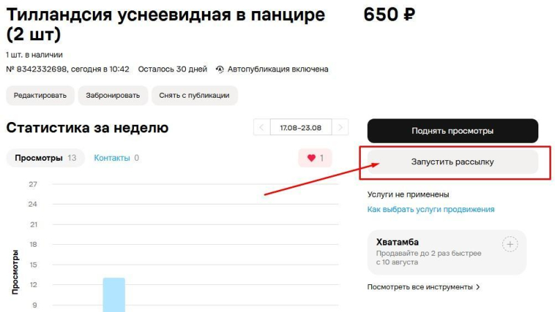Как подать объявление на Авито — пошаговая инструкция для бизнеса